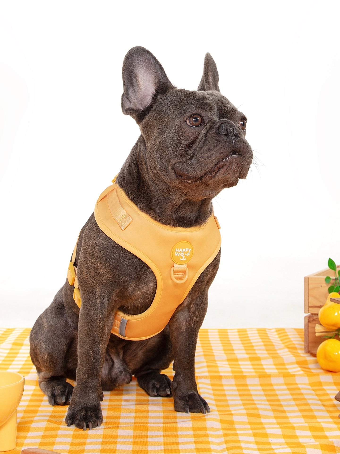 Dog Adjustable Harness | Butter Pup