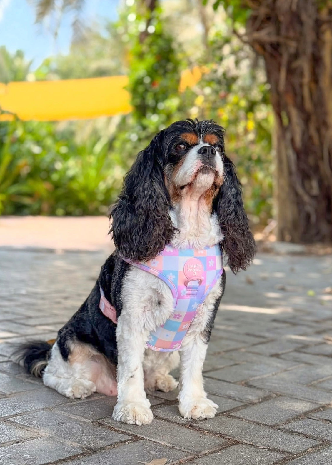 Dog Adjustable Harness | Flower Power