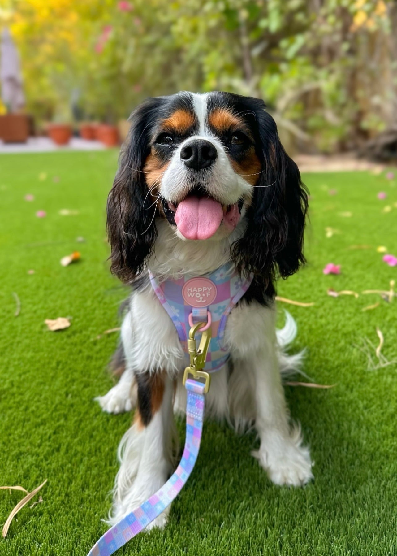 Dog Adjustable Harness | Flower Power