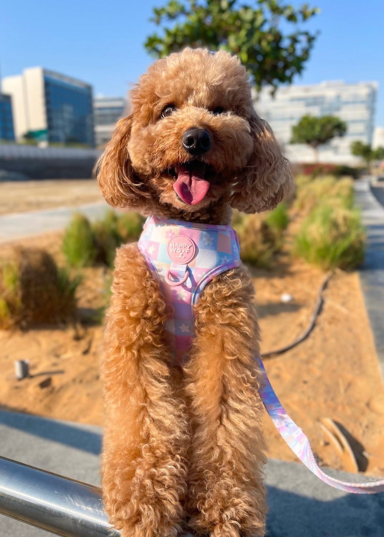 Dog Adjustable Harness | Flower Power