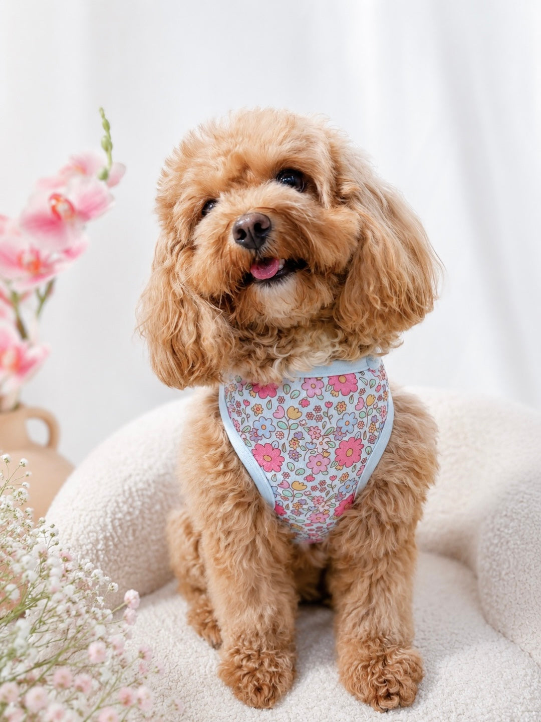 Small dog wearing the Happy Woof Misty Dream Cooling Vest featuring a pastel floral print with instant cooling fabric.