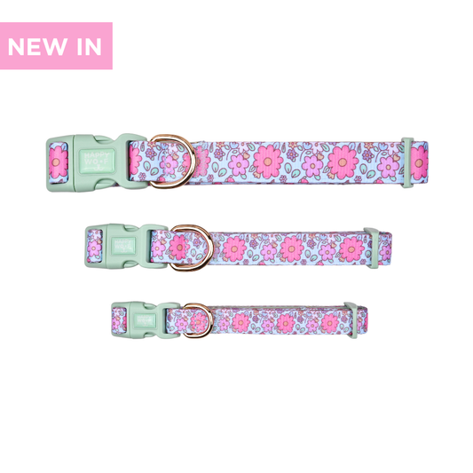 Collar | Misty Dream