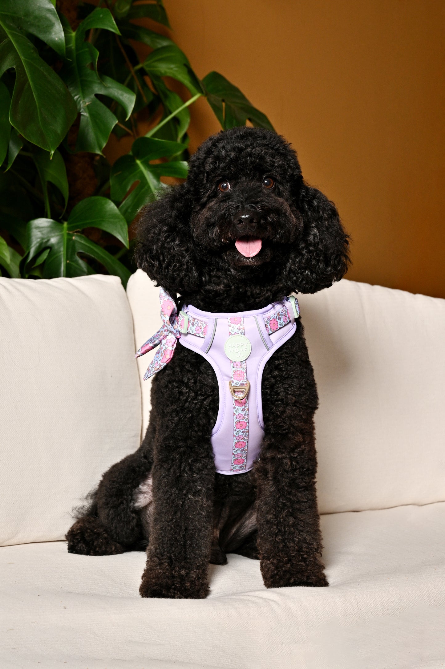 Dog Wander Harness | Misty Dream