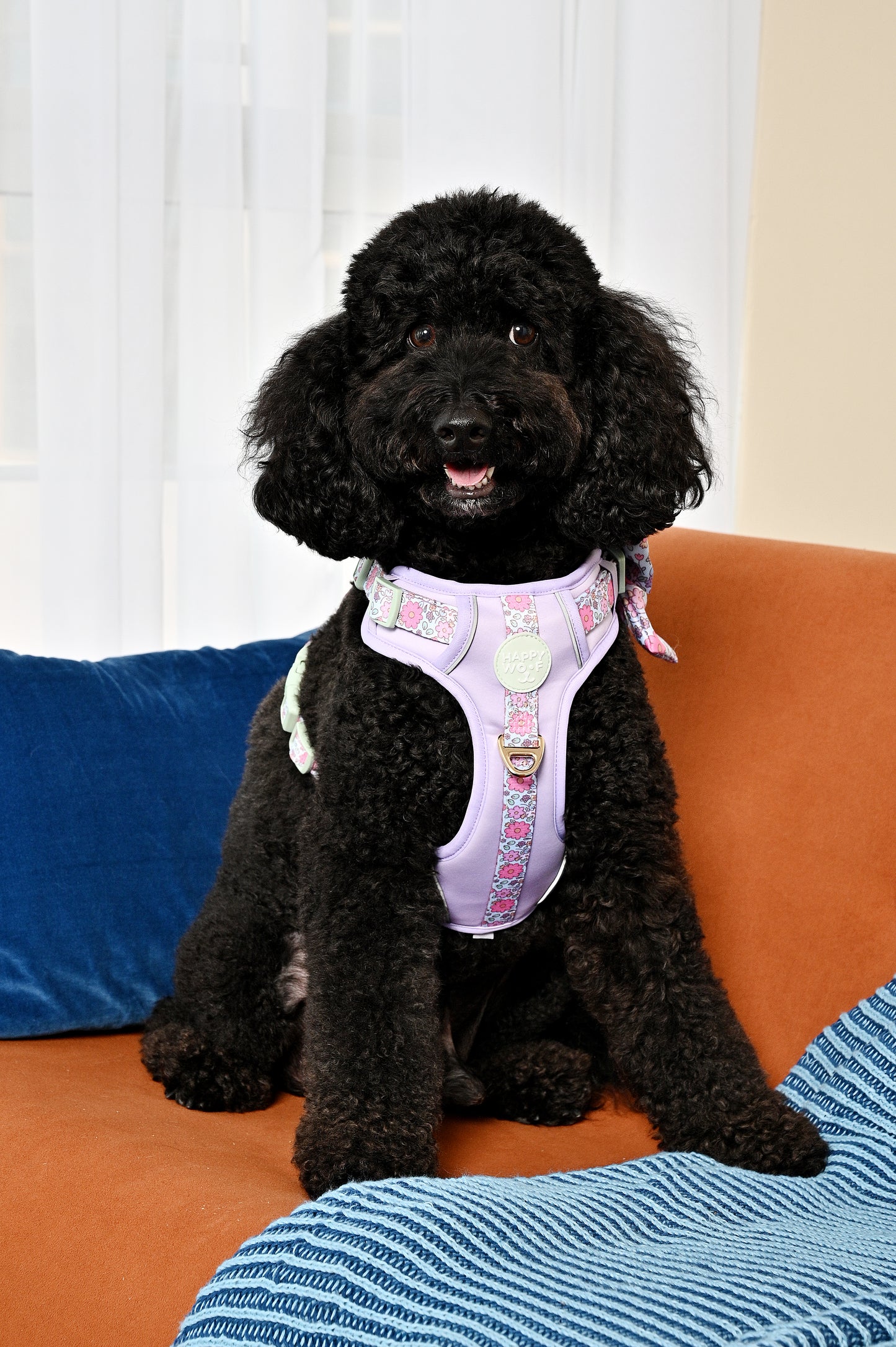 Dog Wander Harness | Misty Dream