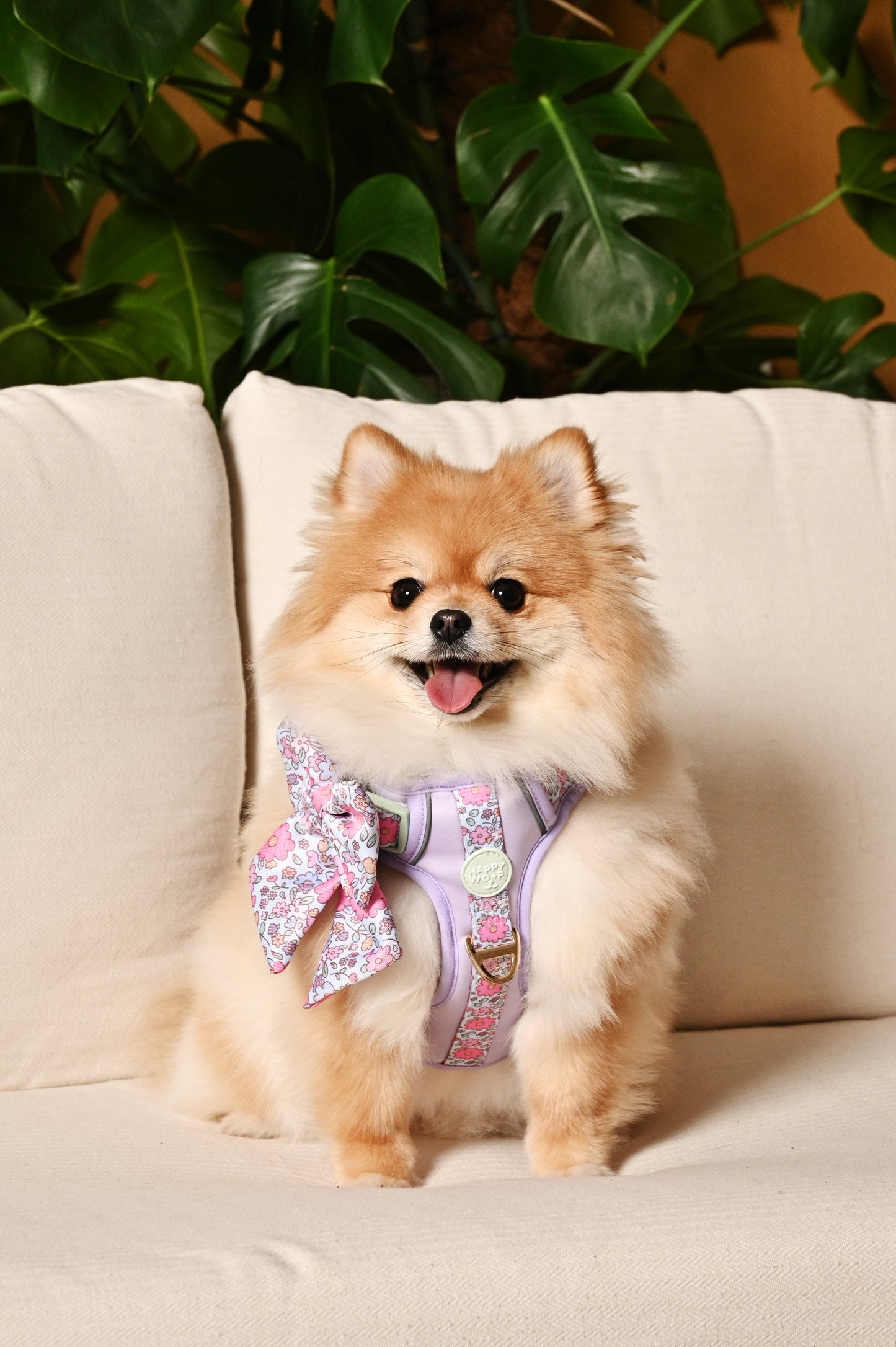 Dog Wander Harness | Misty Dream