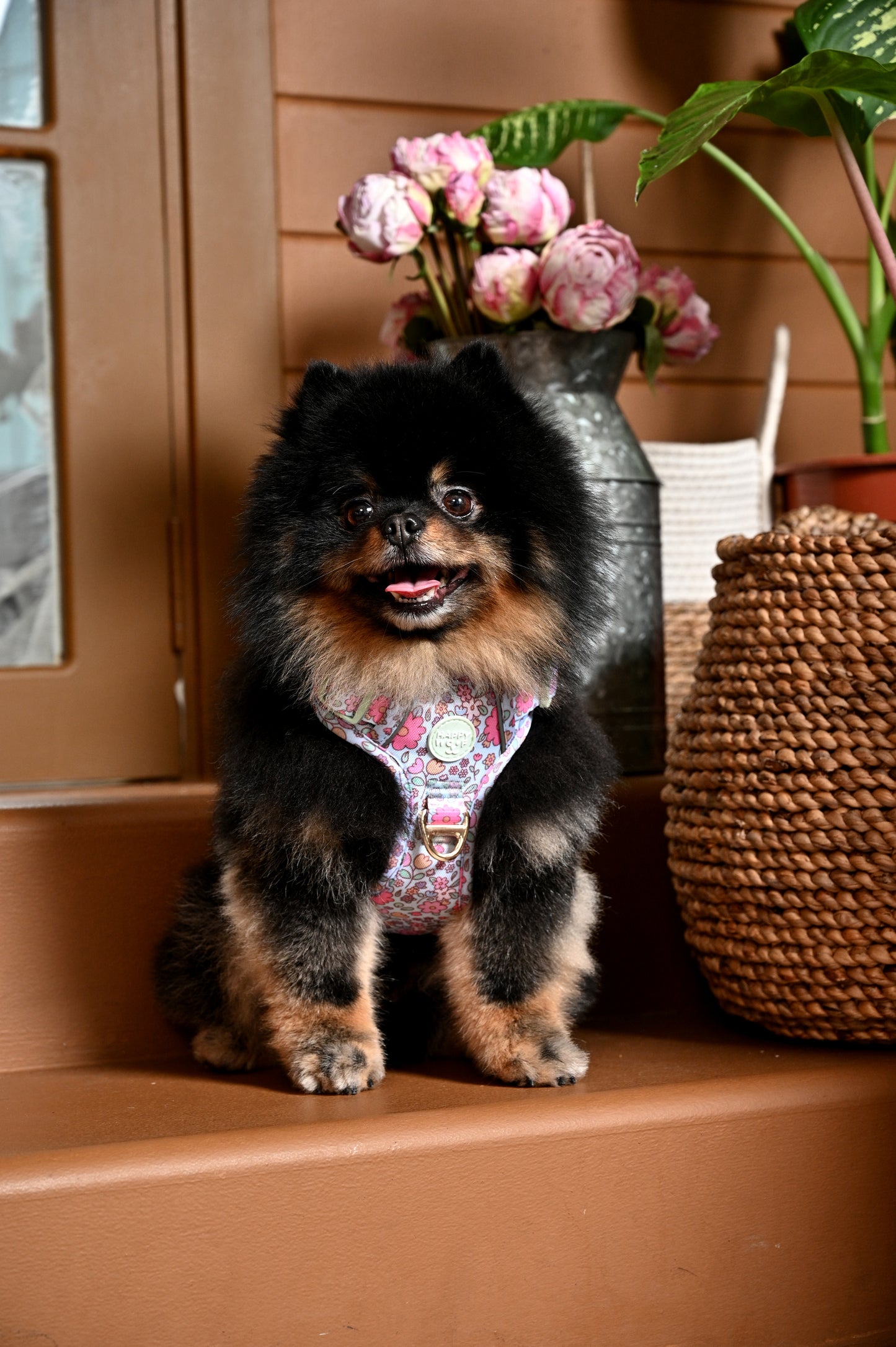 Dog Tough Harness | Misty Dream