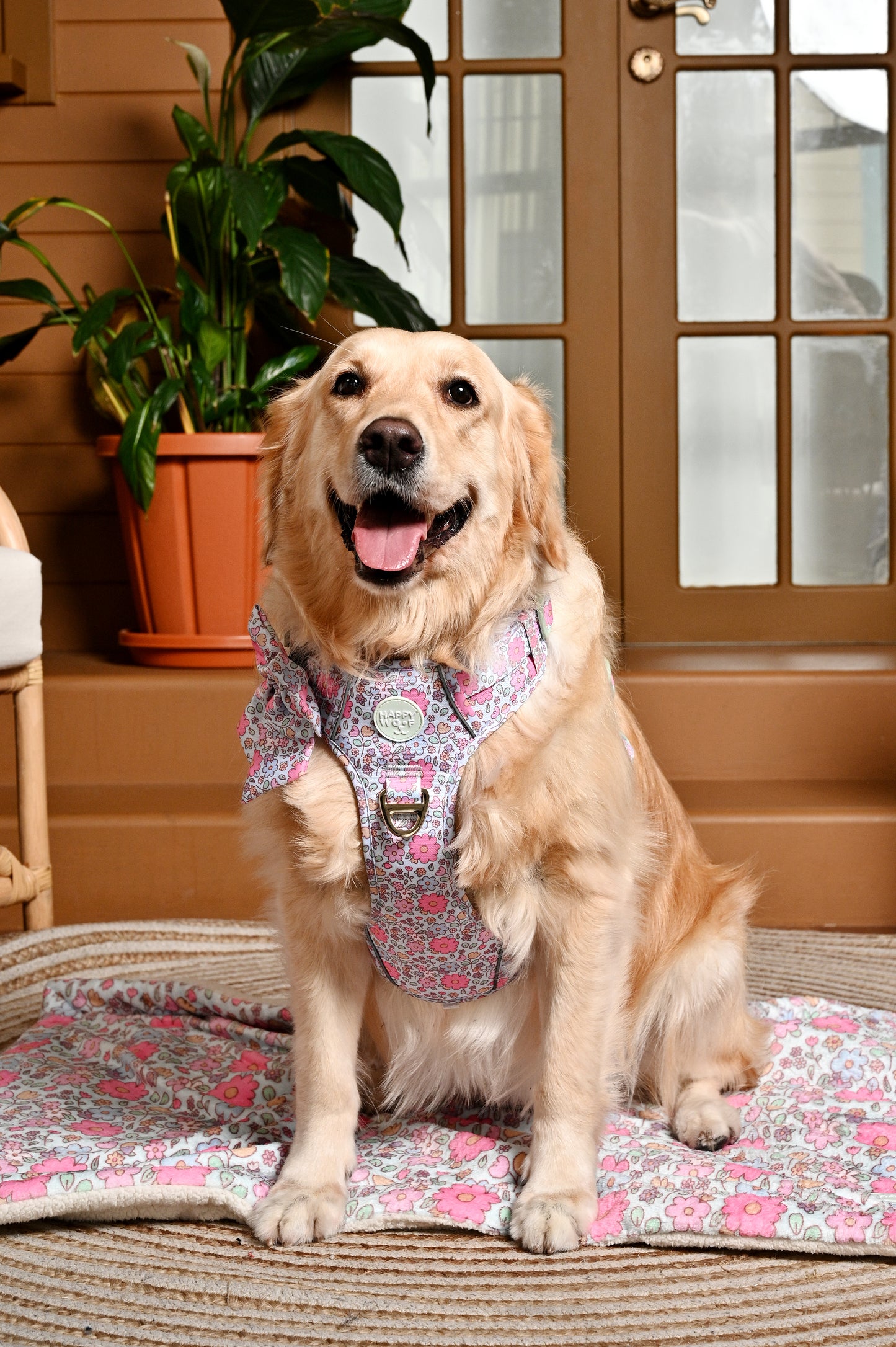 Dog Tough Harness | Misty Dream